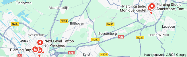 Alles Wat Je Moet Weten Over Het Laten Zetten van een Piercing