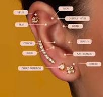Ontdek de Diverse Soorten Oorpiercings