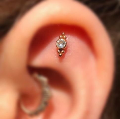 Trendy Oor Piercing Conch: Stijlvolle Expressie voor Je Oor