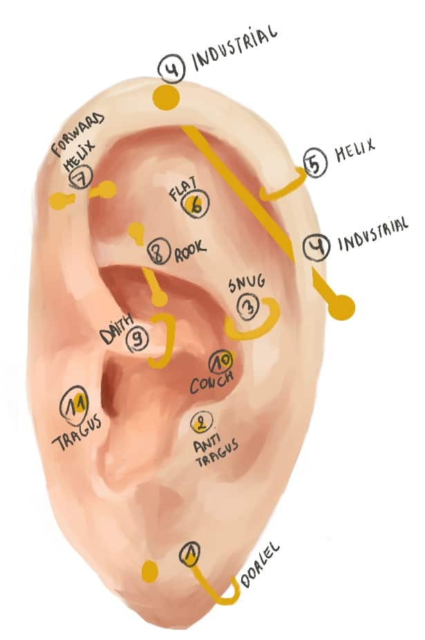 Trendy Helix: Alles over de piercing boven het oor
