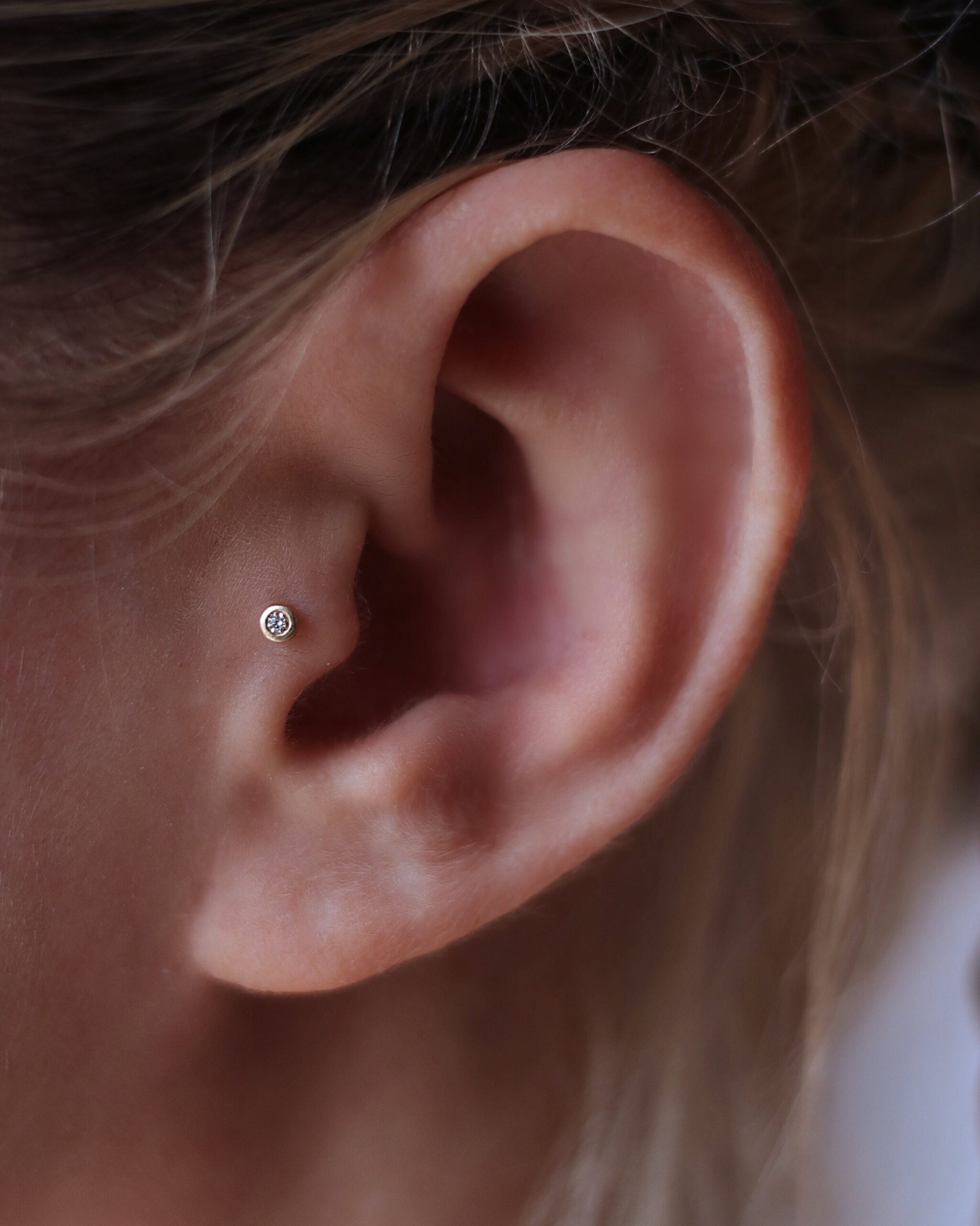 tragus piercing kopen six