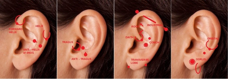 Stijlvolle Oor Piercing Oorbellen: Accentueer Je Persoonlijke Stijl met Prachtige Versieringen