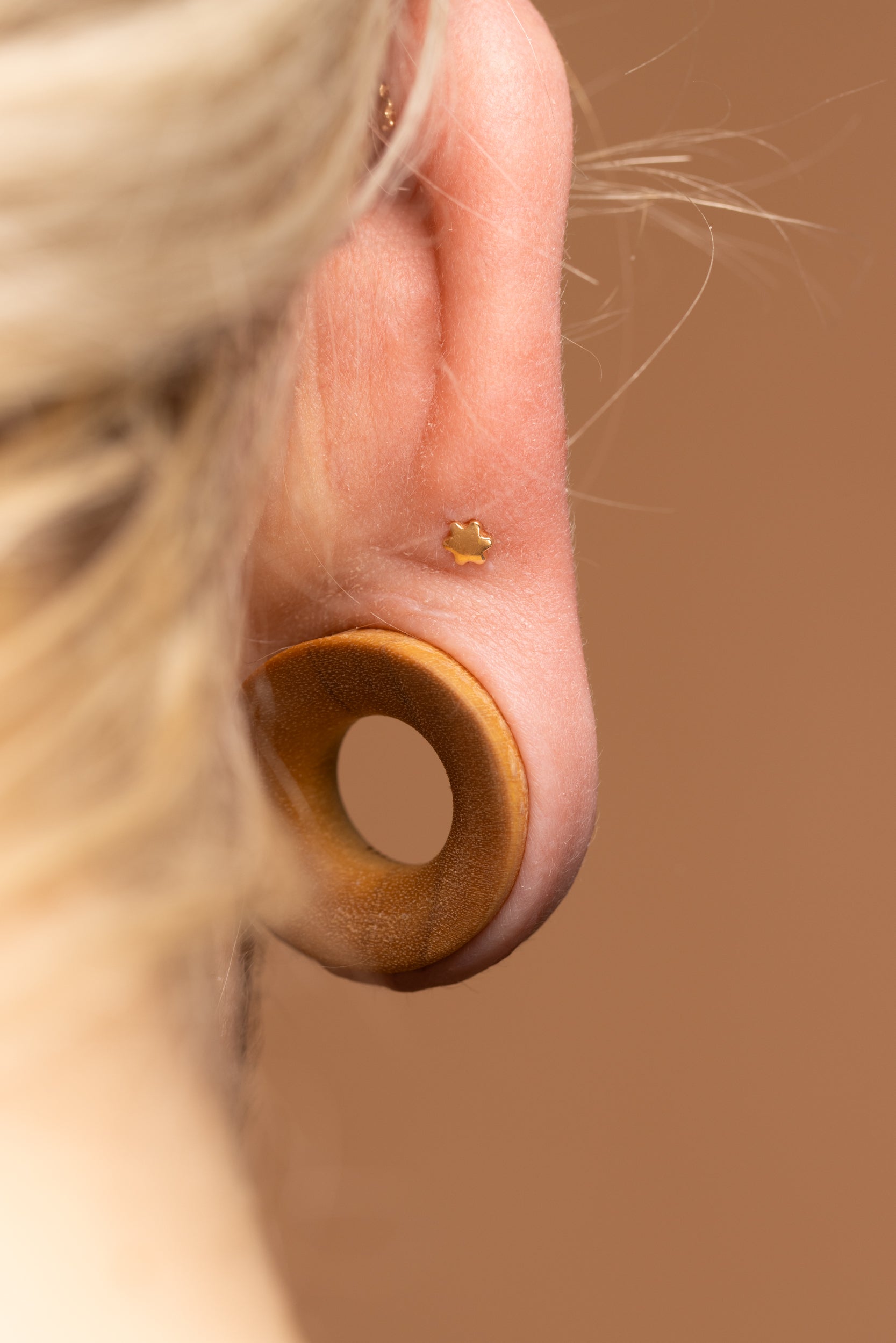 Ontdek de Diversiteit van Piercings in Nederland met Piercings.nl