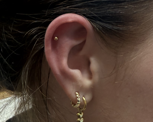 De Kosten van een Tragus Piercing Laten Zetten: Prijsinformatie en Meer