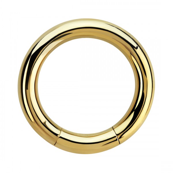 Stijlvolle Piercing Segment Ring: Een Trendy Must-have voor Je Piercings!